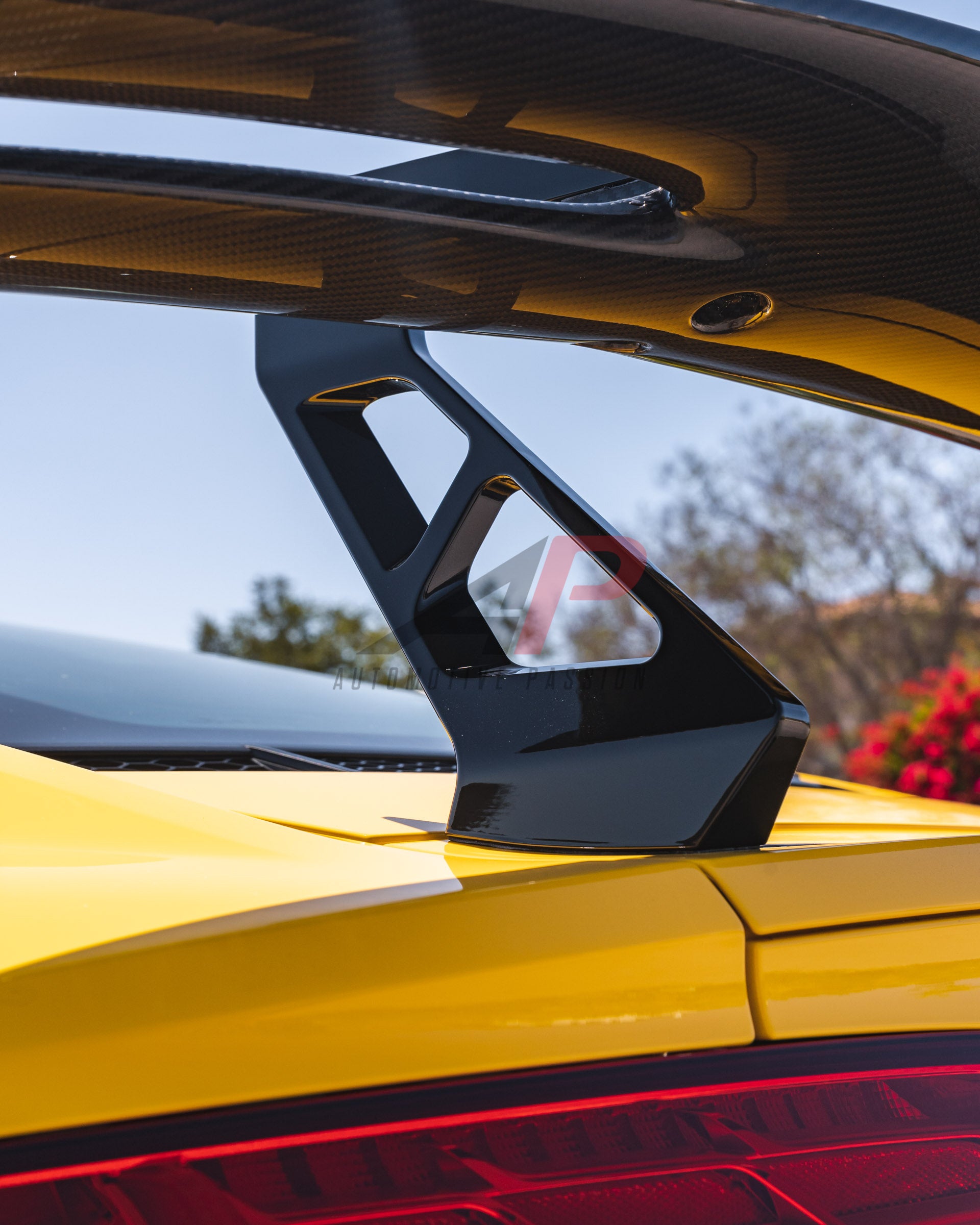 Audi R8 Spoiler Dry Carbon