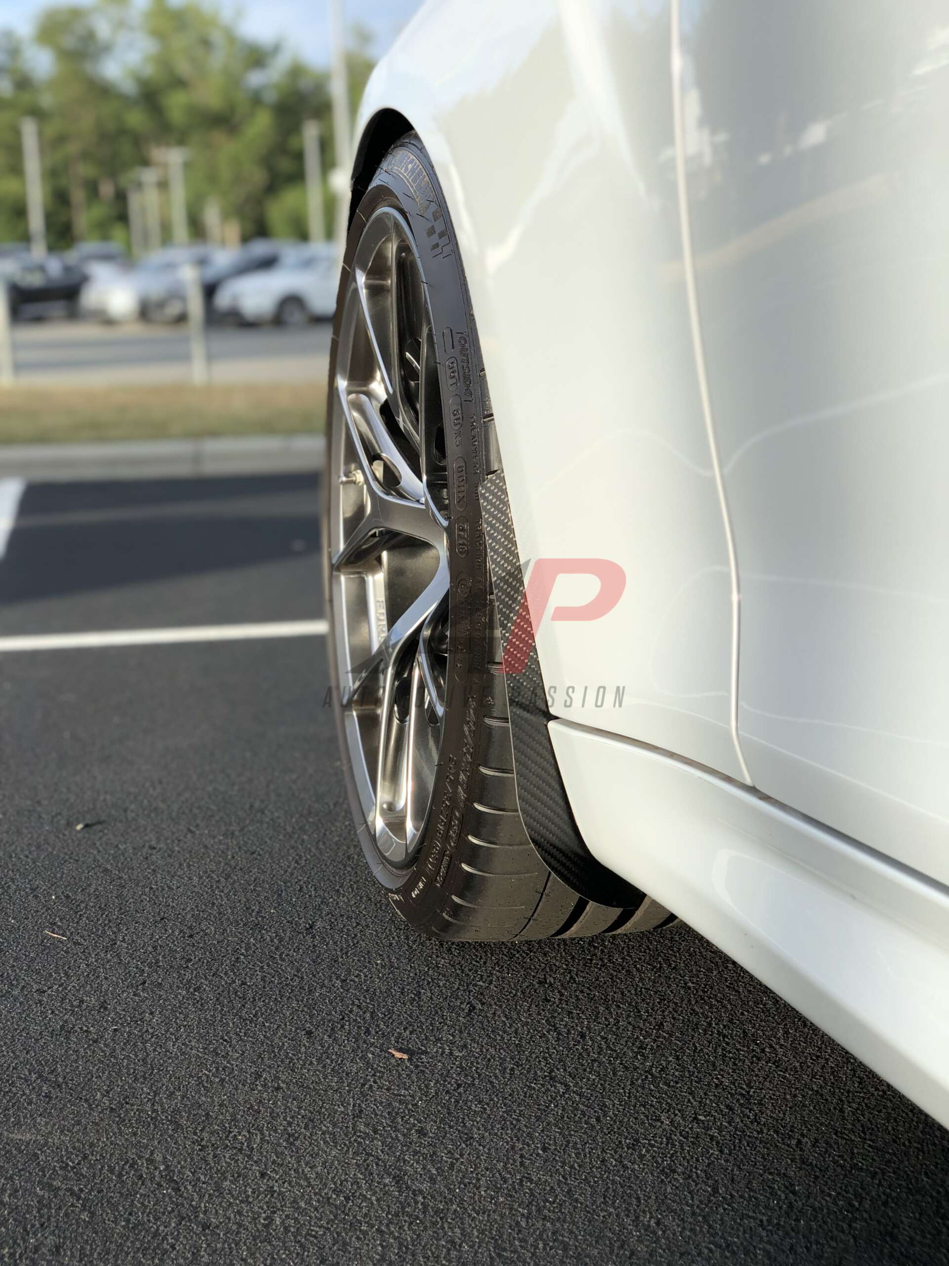 BMW F87 M2 Arch Guards/Mudflaps